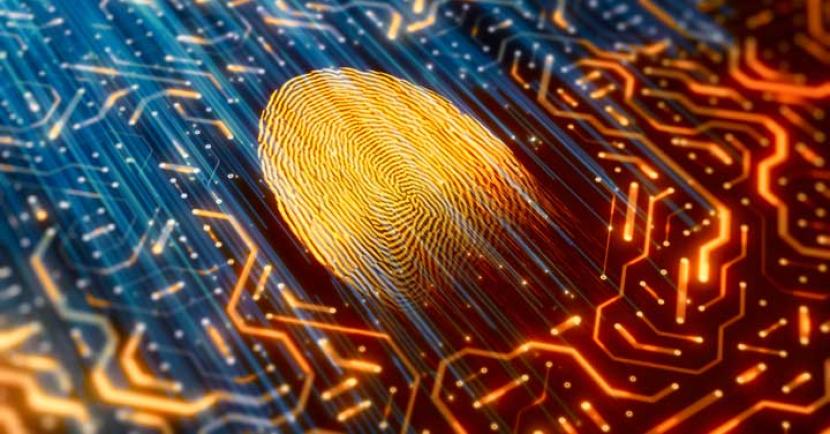 Digital image of fingerprint